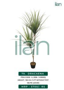 dracaena 2056 artificial plant