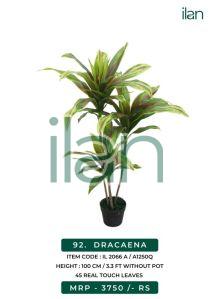 dracaena 2066 a artificial plant