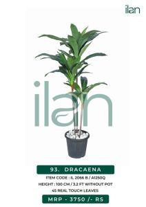 dracaena 2066 b artificial plant