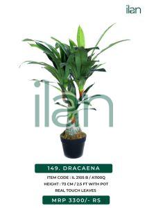 dracaena 2105 b artificial plant