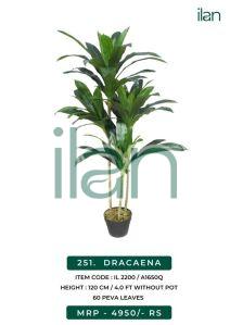 dracaena 2200 artificial plant