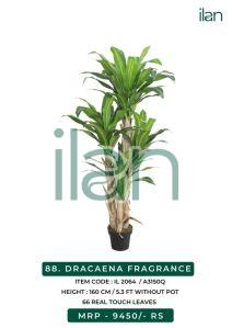 dracaena fragrance artificial plant