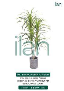 dracaena green artificial plants