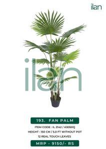 fan palm 2142 decorative plants