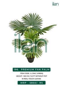 premium fan palm 2145 decorative plants