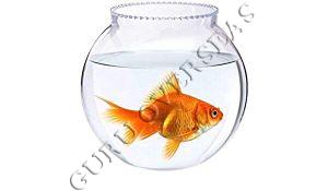 glass fish bowl