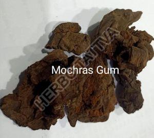 Mochras Gum (Bombax Ceiba)