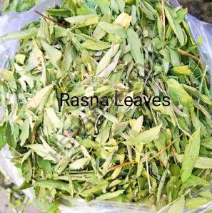 Rasna Leaves (Pluchea Lanceolata)