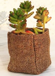 3×3 inch Golden Weaves Pot Cover