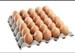 Pure Desi Eggs