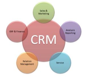 Client Relationship Management Services