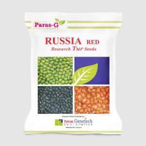 Russia Red Tur Seeds