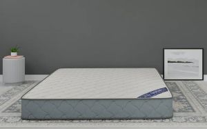 Ortho Queen Size Mattress
