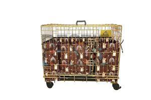 Brown Bumper 30 Inch Dog Cage