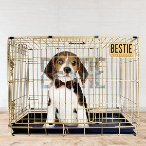 D-Crate 30 Inch Golden Dog Cage