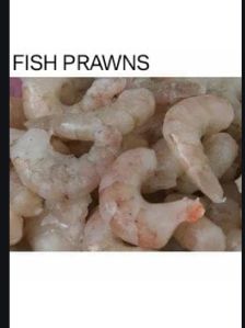 Fish prawns