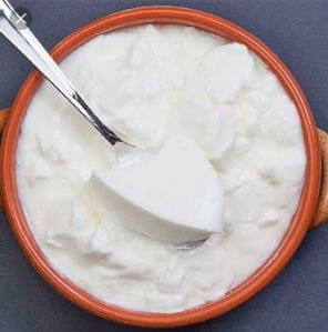 Fresh Curd