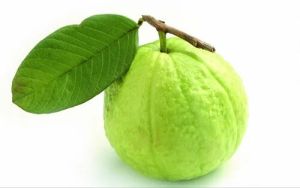 Fresh A Grade Fresh Guava