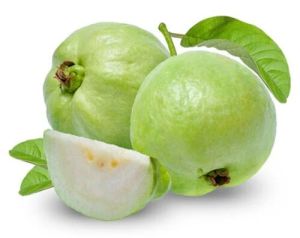 Fresh Green Guava