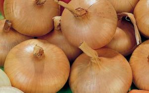 Fresh Round Onions Grade AA
