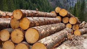 kiln dried spruce lumber