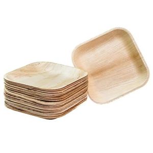 square 9 inch areca leaf plates