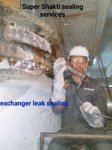 Online Leak Sealing Services