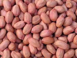 Groundnut kernels