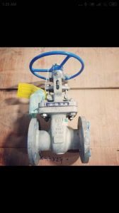 gate valve