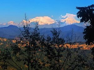 kalimpong offbeat domestic tour services