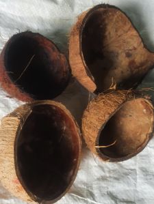 Coconut shells for bows crafting