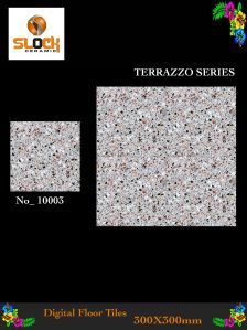 terrazzo floors 10003