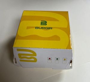 Printed Burger Box