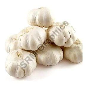 A Grade Garlic