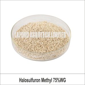 Halosulfuron methyl 75% WG