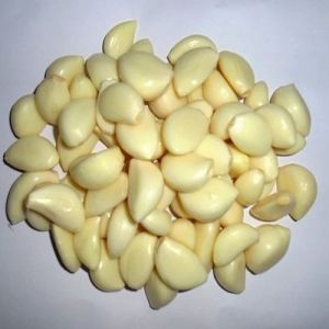 Natural Peeled Garlic