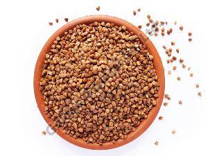 Buckwheat seeds