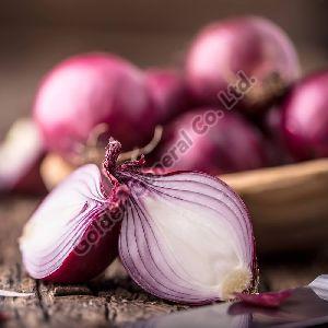 Fresh white Onion