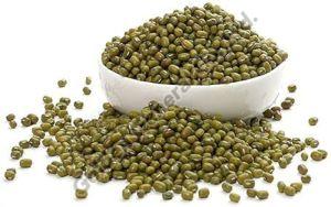 Green Lentils