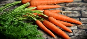 Fresh Carrot, Packaging Type : Gunny Bag