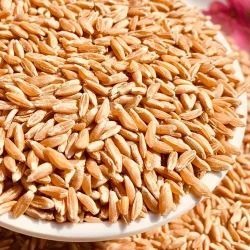 Wheat Grain For Cooking