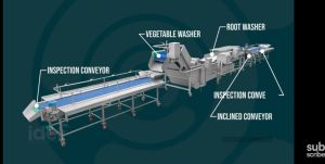 Fruits Vegetables Processing Line