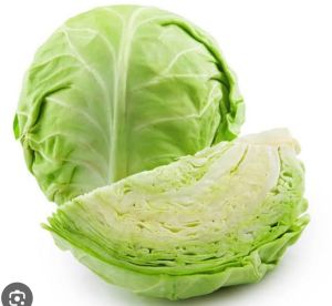 Cabbage