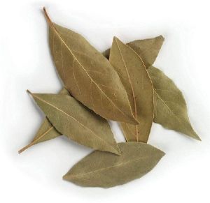 Imavarsha Dried Bay Leaves, Color : Green