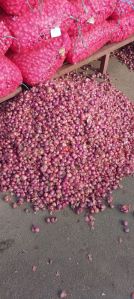 Fresh Small Red Onion For Food