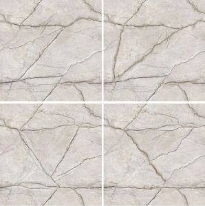 CR-8004 Endless Series Ceramic Floor Tiles