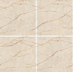 CR-8005 Endless Series Ceramic Floor Tiles