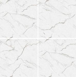 CR-8006 Endless Series Ceramic Floor Tiles