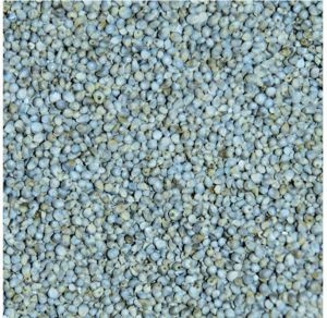 Gujarat Gold Fine Processed Organic Millet, Variety : Natural