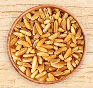 Natural Durum Wheat For Used Pasta, Semolina, Bread, Couscous, Flour